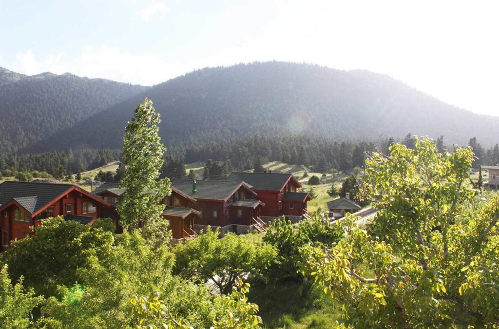 Boutique Hotel Skamnos Arachova Zewnętrze zdjęcie