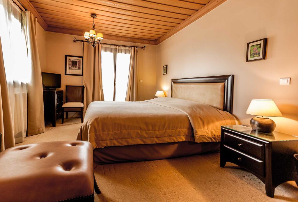 Boutique Hotel Skamnos Arachova Zewnętrze zdjęcie